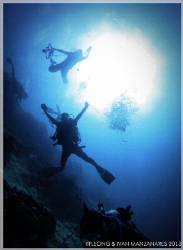 Freefall by Kf Leong 